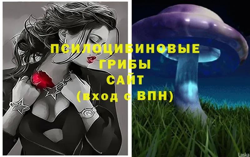 Галлюциногенные грибы Magic Shrooms Казань