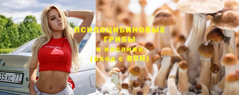 hydra ТОР  Казань  Псилоцибиновые грибы Cubensis 